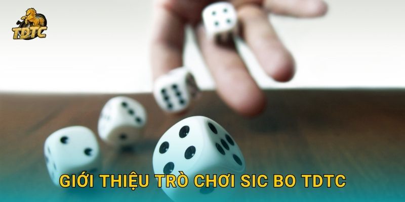 Sic Bo tại Tdtc hấp dẫn với tỷ lệ cược cao 2 Giới thiệu trò chơi Sic Bo Tdtc