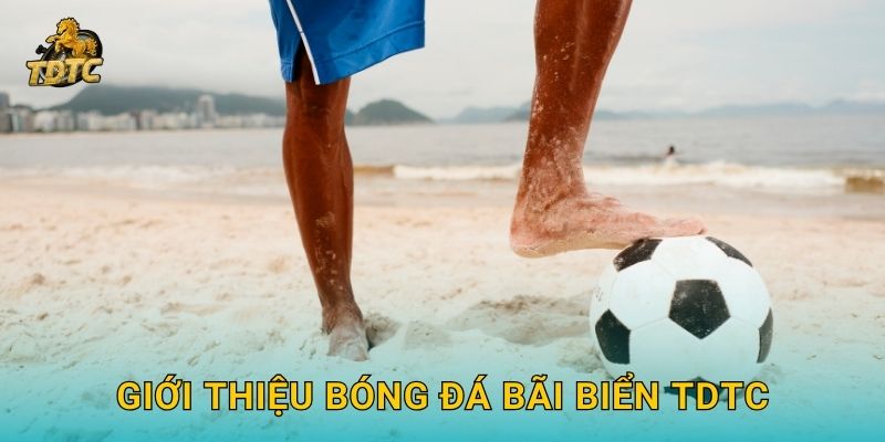 Bóng đá bãi biển tại Tdtc hấp dẫn với kèo độc đáo 2 Giới thiệu Bóng đá bãi biển Tdtc